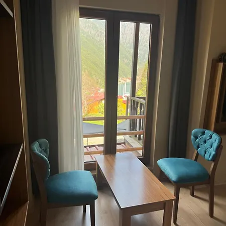 Oezen Apartamento Uzungöl