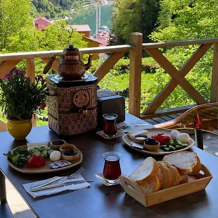 Apartment Oezen Uzungol